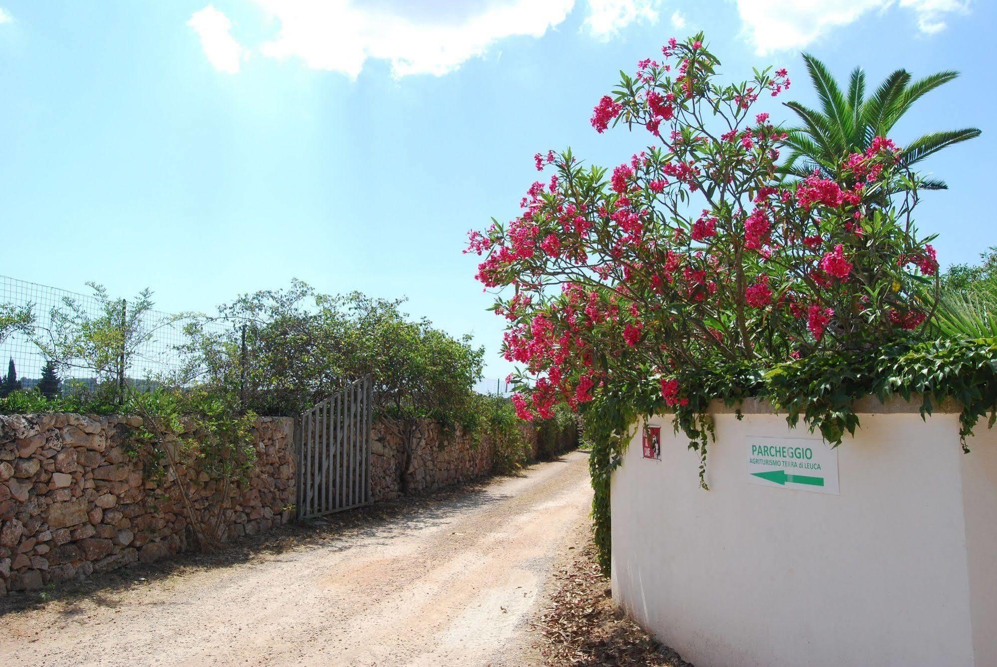 הוילה סאלבה Terra Di Leuca מראה חיצוני תמונה